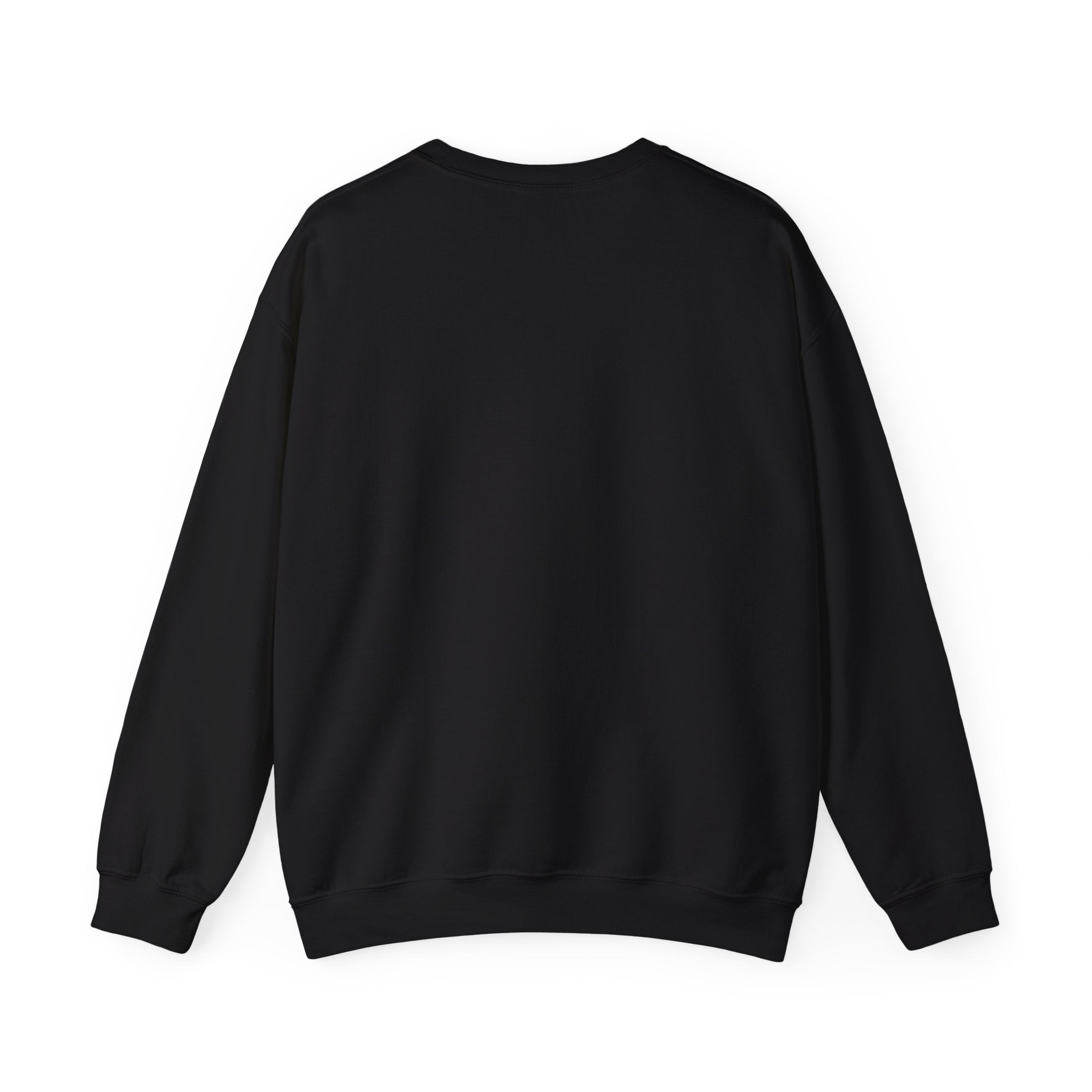 TITCHE Elementary Crewneck Sweatshirt — School Spirit Pullover